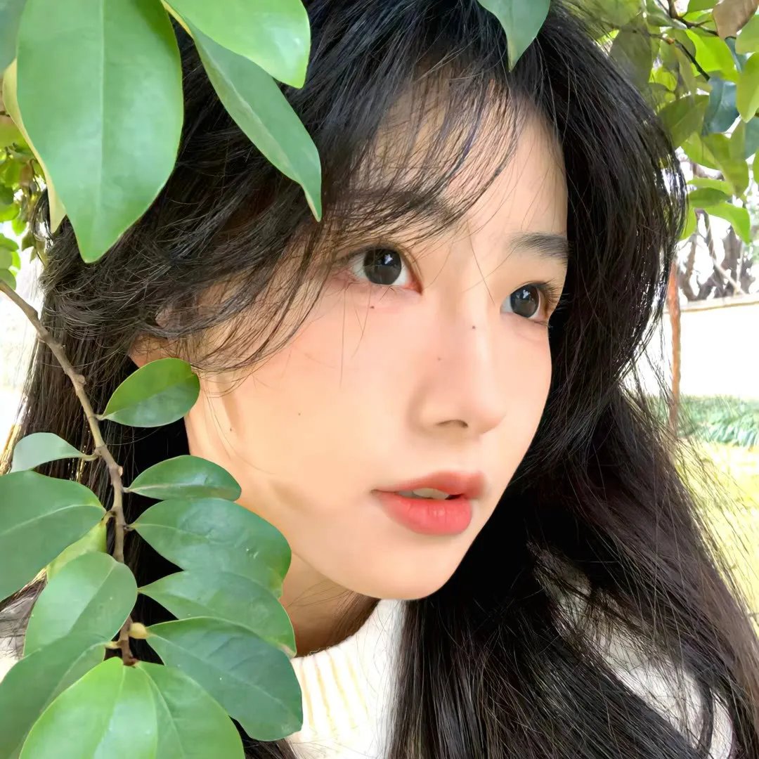 爱的着陆